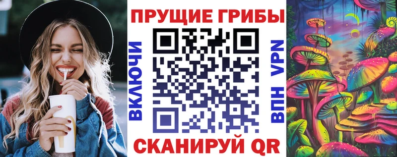 наркошоп  Ливны  hydra вход  Галлюциногенные грибы Psilocybe 